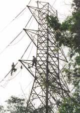 2.2. Transmissão de energia elétrica São atividades características do setor de transmissão: Inspeção
