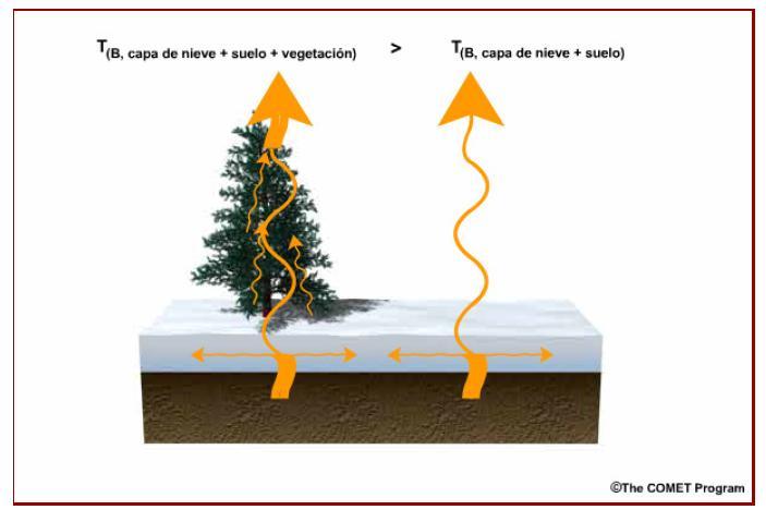 Fig. 14 Obstáculos e