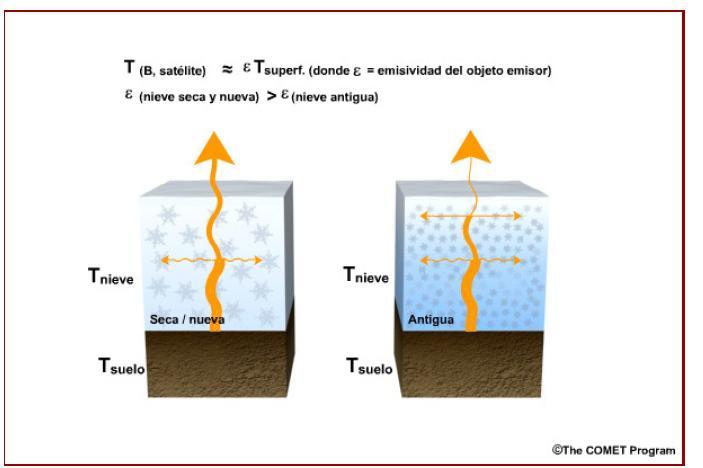 Fig. 19 Obstáculos e limitações: