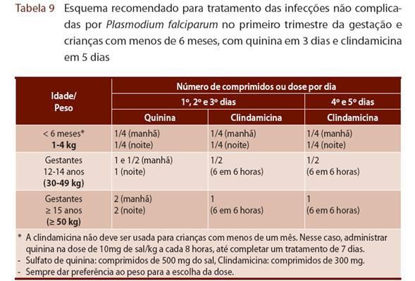 Informações Importantes O tratamento visa principalmente a interrupção da esquizogonia sangüínea, responsável pela patogenia e manifestações clínicas da infecção.