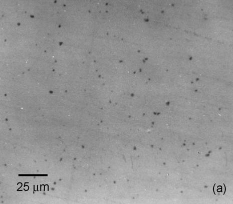 Figura 5 - Micrografias tiradas da superfície polida mostrando em (a) uma típica dispersão de partículas de segunda fase encontrada