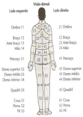 50 O resultado dos dados