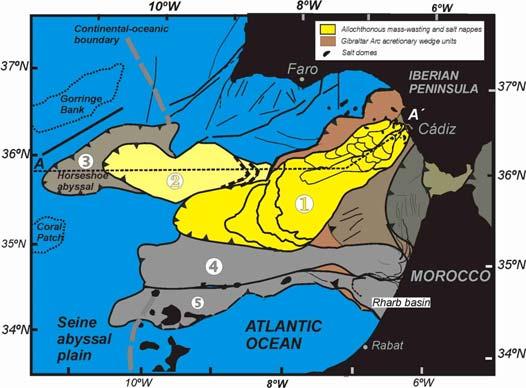 Manifestações de actividade tectónica recente no Golfo de Cádis são expressas por falhas com ruptura superficial e pela ocorrência de deslizamentos submarinos (landslides) (Gràcia et al.
