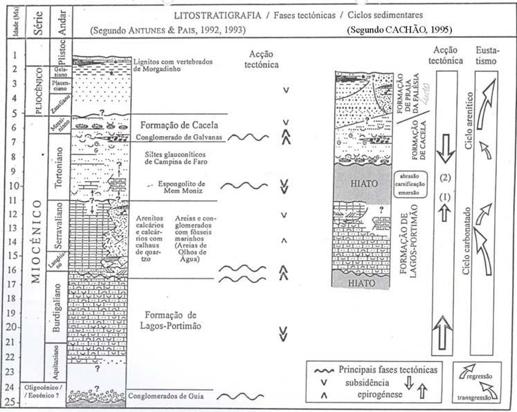 Figura II.35 Comparação entre os dois modelos estratigráficos propostos para o Neogénico da Bacia do Algarve por Antunes e Pais (1993) e por Cachão (1995). (Extraída de Cachão, 1995).