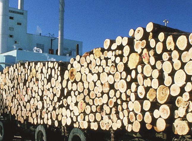 NOTÍCIAS - DESEMPENHO DO Volume de exportações florestais registrou elevação de 18,4% em janeiro de 2017 No primeiro mês de 2017, o volume de exportações de celulose totalizou 1,4 milhão de