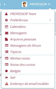 Calendário : Acessa todos os eventos das disciplinas; Mensagens : Visualiza as mensagens recebidas de outros participantes da disciplina para responder e enviar novas mensagens; Arquivos pessoais :