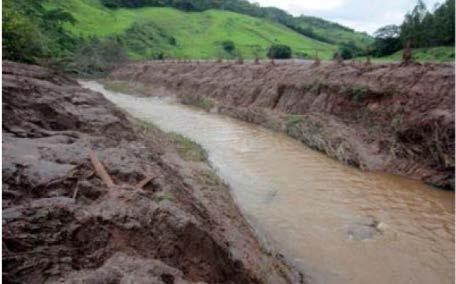 AÇÕES AMBIENTAIS Revegetação Foram revegetados, de forma emergencial, os 800 hectares inicialmente