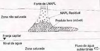 Os componentes solúveis deslocam-se adiante, ultrapassando os componentes menos solúveis.