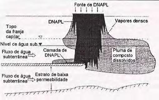 duas fases). A combinação da alta densidade e da baixa viscosidade faz com que o DNAPL percole até atingir a zona saturada associado ao deslocamento da água.