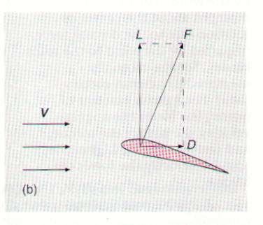 Aerofólios e conceitos gerais sobre aerodinâmica FORÇAS