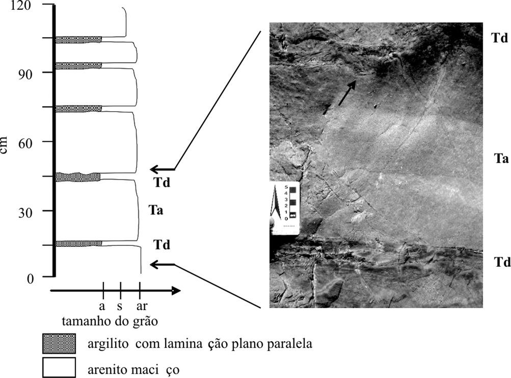 Estruturas primárias em turbiditos do greenstone belt Rio das Velhas, neorqueano do Cráton São Francisco meridional Figura 3 -