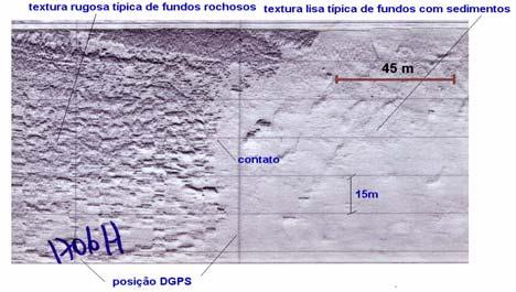 INVESTIGAÇÕES GEOFISICAS EM ÁREAS SUBMERSAS RASAS: QUAL O MELHOR MÉTODO?