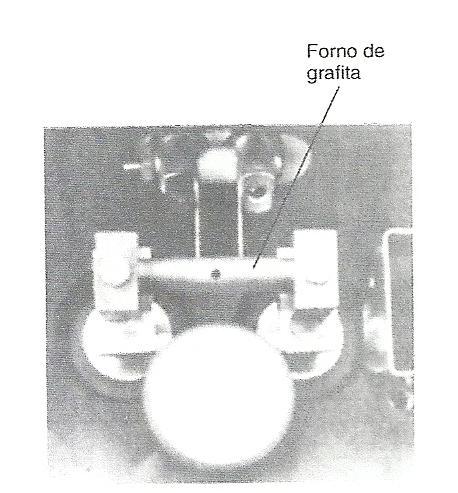 2.2. ATOMIZAÇÃO EM FORNO DE GRAFITE A amostra é introduzida no forno colocando-se a ponta de uma micropipeta em uma abertura existente na camisa externa e um