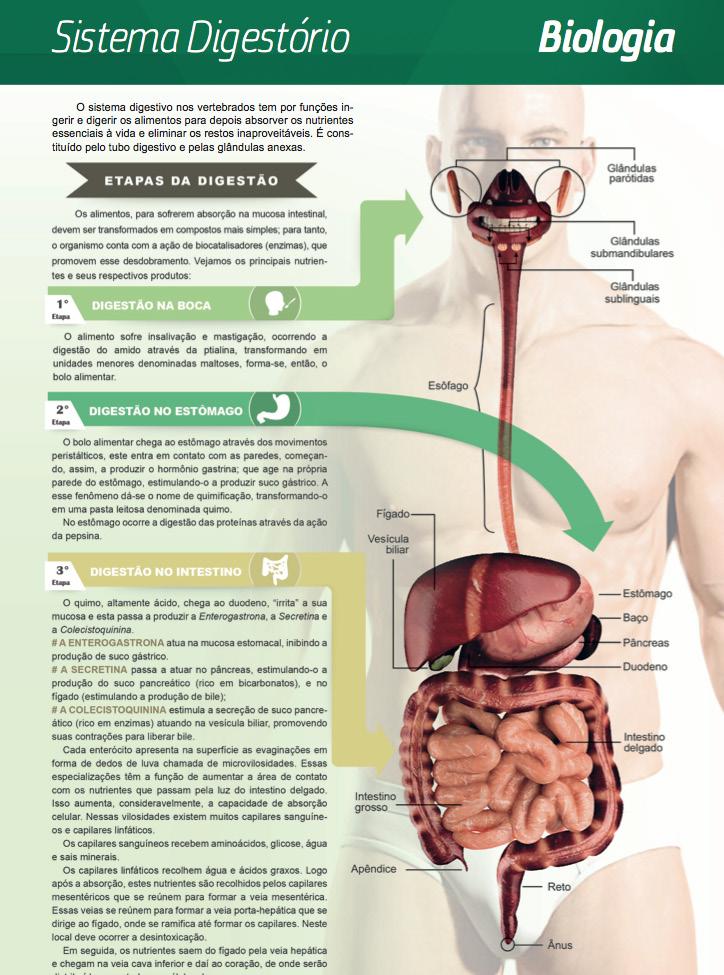 os programas da UEPA e de faculdades particulares.