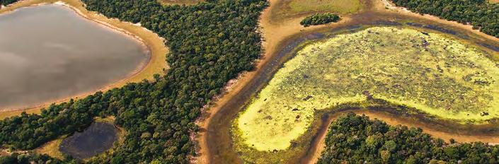 O Pantanal é conhecido como o reino das águas. Está situado na Bacia do Alto Paraguai (BAP), na região central da América do Sul, localidade com 624.