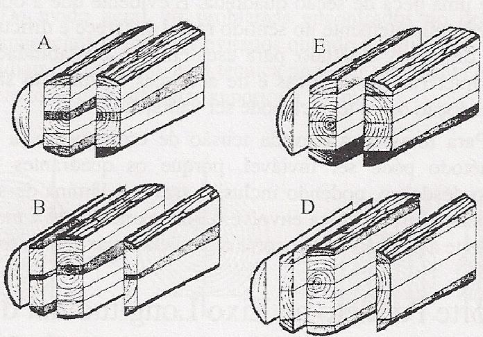 Segundo Vital (2008), após alguns cortes, a madeira restante adquire um formato de tronco piramidal, conforme observado na Figura 18 (A e B), constituída de madeira de qualidade inferior.