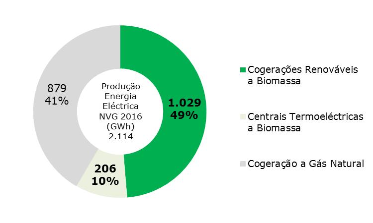 4. BIOMASSA NA THE NAVIGATOR COMPANY 50% da geração