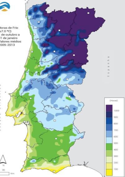 Clima do Ribatejo Frio e Dormências Número médio de horas de frio de 1 de Outubro a 31 de Janeiro (2009-2013) Quebra da Endodormência Abrolhamento/Floração FRIO