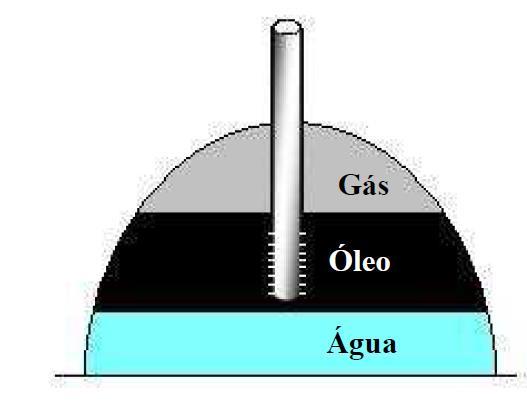 Figura 1- Esquema de um reservatório de óleo.