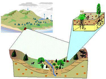 7 Ou Biosfera Ainda não temos conhecimento da existência de outro lugar no