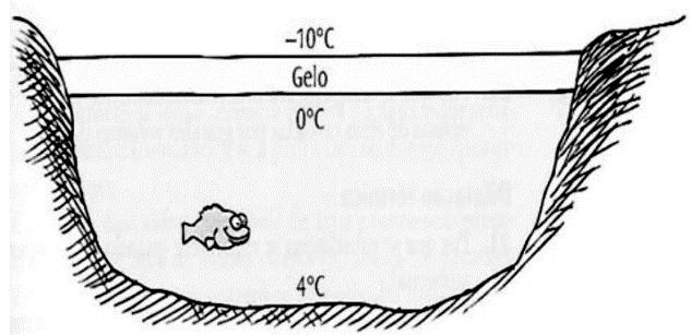 Para atribuir uma categoria a um modelo de garrafa térmica, são preparadas e misturadas, em uma garrafa, duas amostras de água, uma a 10 C e outra a 40 C, na proporção de um terço de água fria para