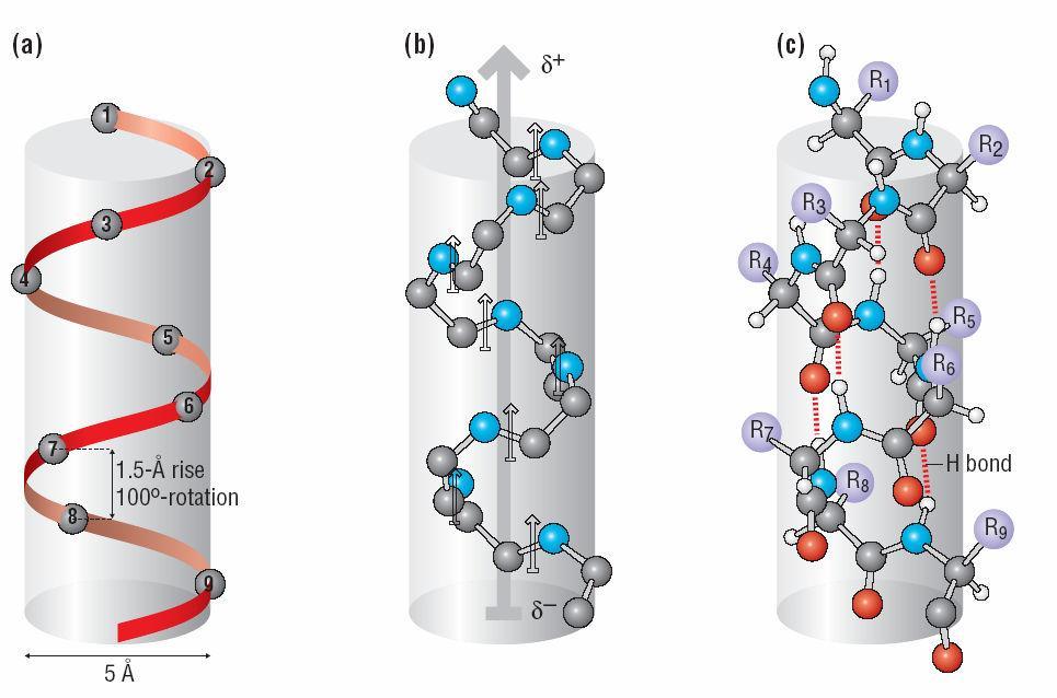 Estrutura Molecular Espacial: Nível de