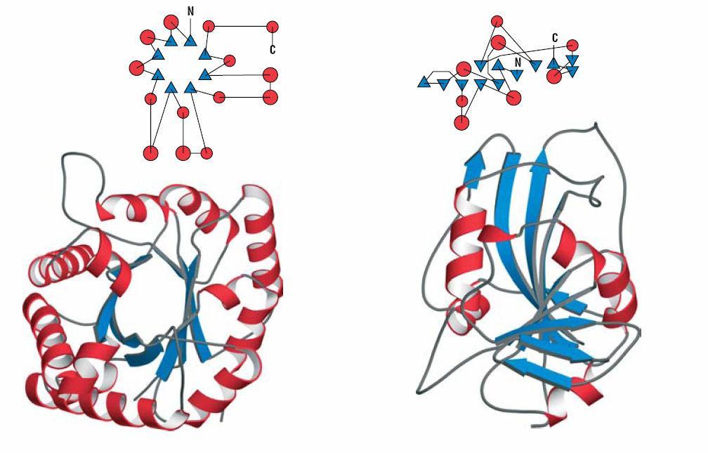 Estrutura Molecular Espacial: Nível de