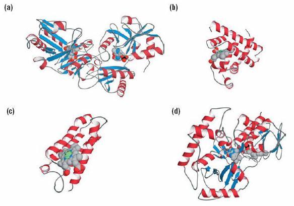 Estrutura Molecular Espacial: Nível de