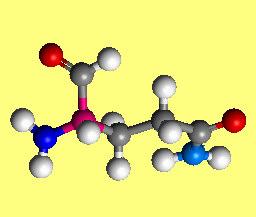 Y, ) Asparagina Asn, N 3 N + 2 2