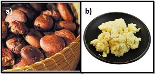 5 Figura 3 Cupuaçu (Theobroma grandiflorum): a) semente de cupuaçu após a retirada da polpa, b) manteiga de cupuaçu.