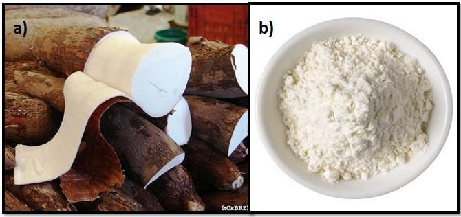 8 Figura 7-Mandioca (Manihot suculenta: a) resíduos gerados da utilização da mandioca (casca e entrecasca), b) fécula de mandioca.