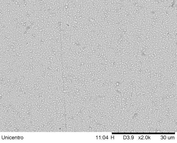 Figura 21. Micrografia eletrônica de varredura do filme de cobre obtido galvanostaticamente (- 5 ma.