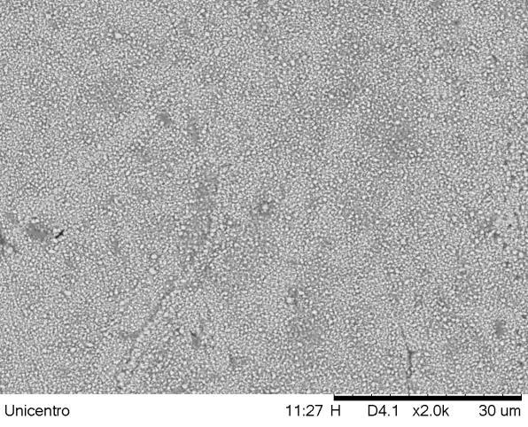 cm -2 e carga total -0,5 C) em regime de corrente pulsada (90 ms/10 ms) em meio citrato 273 Rev.