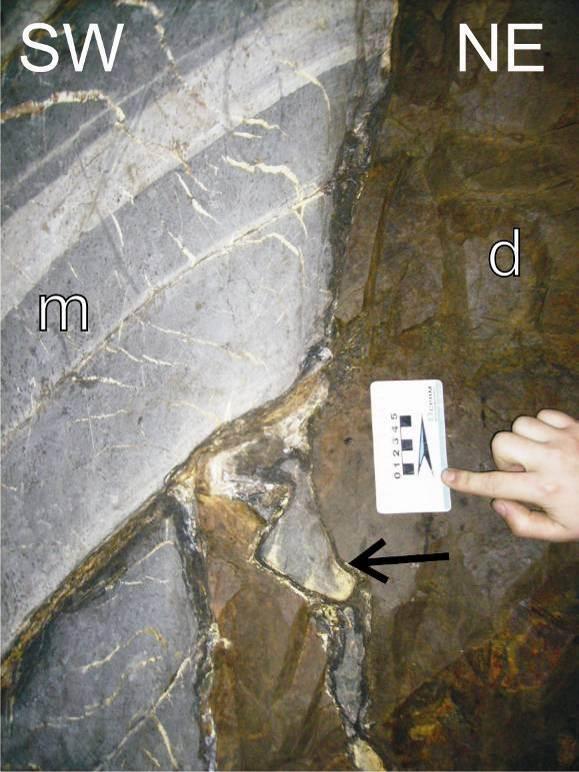 Foto: Nicolás Misailidis Strikis. Figura 5: Detalhe da borda do dique de diabásio, com destaque para os xenólitos centimétricos de metacalcário, indicados na figura por uma seta.