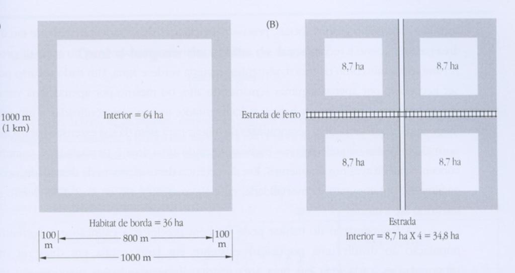 endemismos, espécies-chave Uso do espaço ( landuse ).