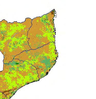 carvão, excepto nas reservas florestais tais como de Mecuburi, Ribaue e Mpalwe.