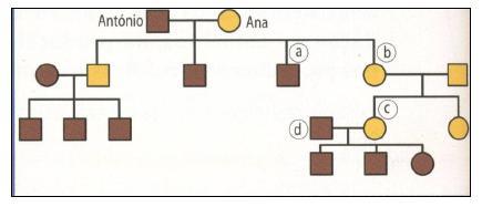 5.4. A figura 5 corresponde à unidade básica da molécula do ADN. Legenda-a. 1 2 Figura 5 5.4.1. A estrutura identificada com o número, pode ter várias denominações.