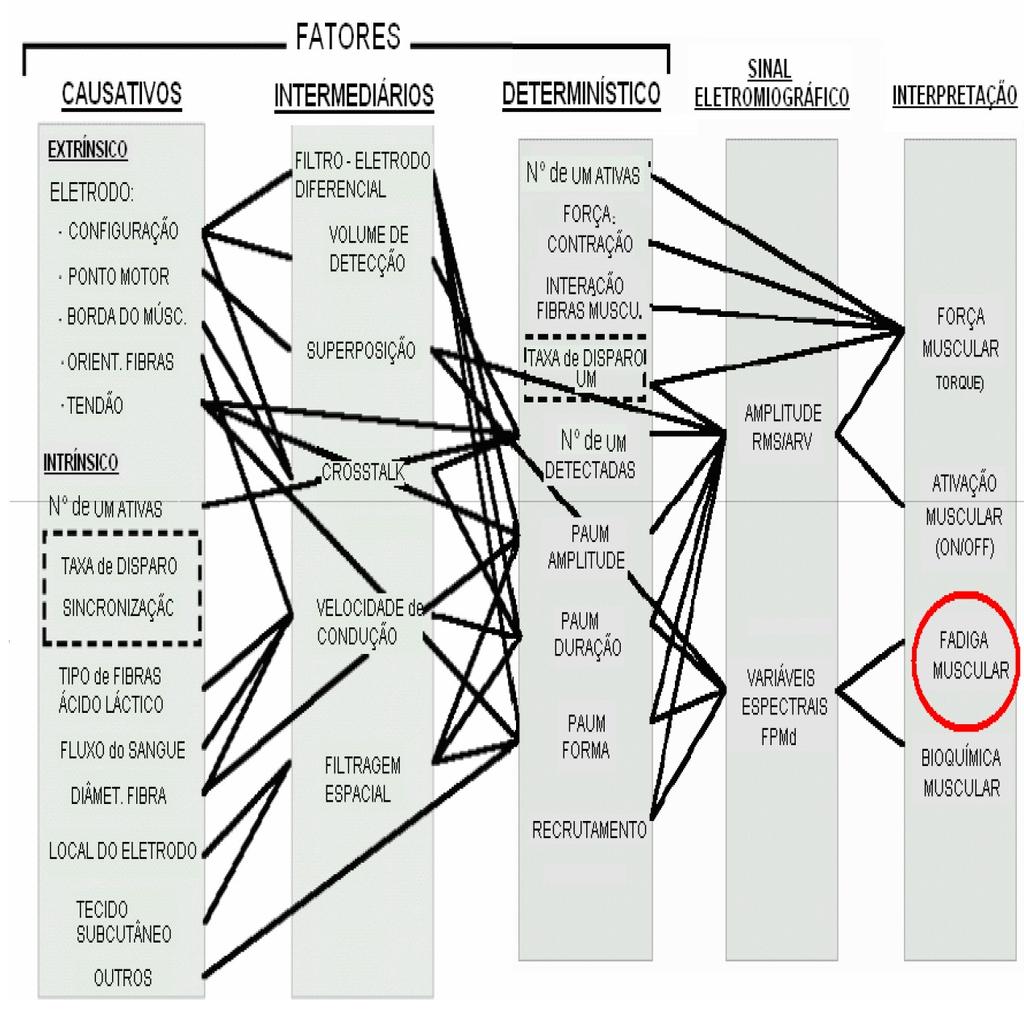 EMG, Interpretação e