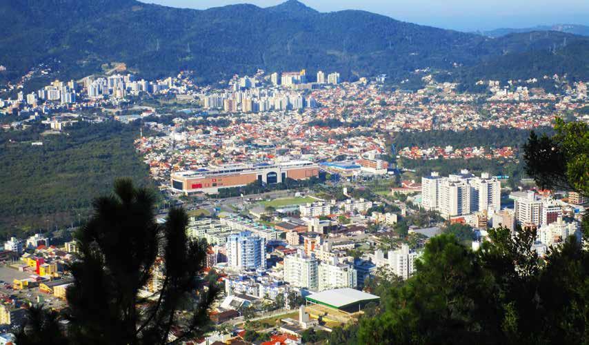 FLORIANÓPOLIS, 14 a 20 de julho de 2017 Ano 9 N. 445 NDonline.com.