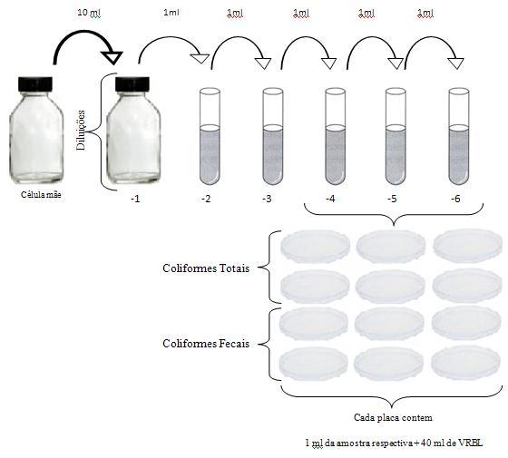 Metodologia dos Parâmetros Microbiológicos Diluições - 1-2 - 3-4 - 5-6 Entrada