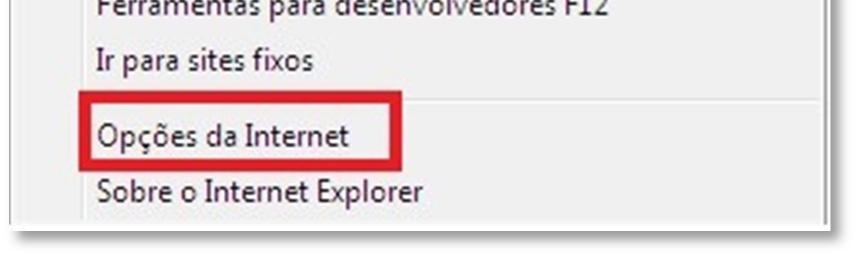 . Para realizamos a limpeza do cache no Internet Explorer 9, nos devemos ir em ferramentas que é