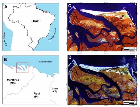 Introduction Studies on the composition of amphibian communities along the Brazilian coast are still scarce (LOEBMANN; MAI, 2008).