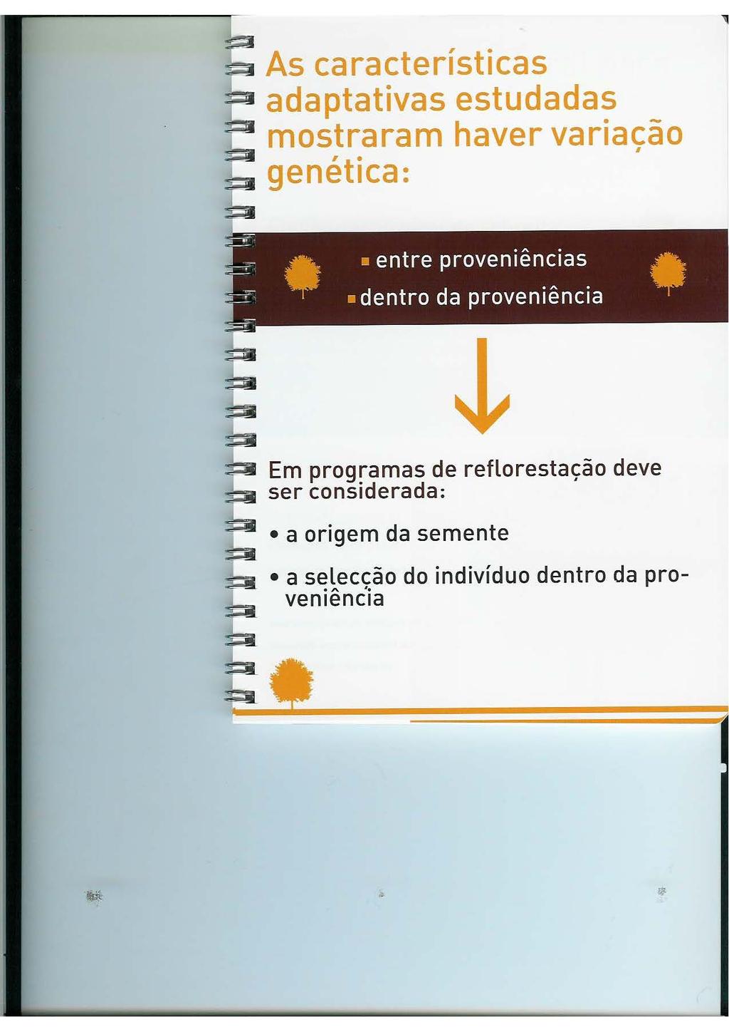 As características ~ adaptativas estudadas =e mostraram haver varia cão ~ I e I ~ genettca: ~ ~ :6a ~ ~ ~ Em programas