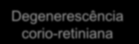 Sequenciação GAMT Sequenciação SLC6A8 (+estudo de capt.