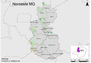 Diferença de calendário de plantio nestas áreas pode ser uma das razões desta anomalia. Por outro lado, as cores em verde mostram respostas do índice de vegetação superior à safra passada.