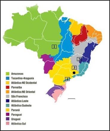 3. MATERIAL E MÉTODOS 3.1. Amostragens do material biológico Foram analisados representantes de H. brasiliensis coletados na Bacia do rio Jequitinhonha, H. aimara na Bacia Amazônica e espécimes de H.