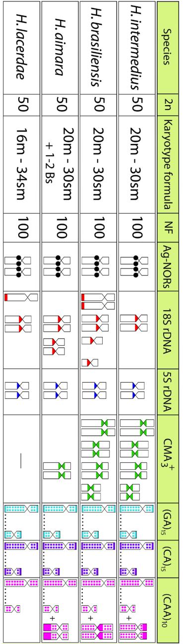 Figura 11.