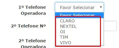 1º Telefone Nº Informe o número do 1º telefone do cliente no seguinte formato ddd + espaço + número separado por hífen, por exemplo, 51 9999-1234.