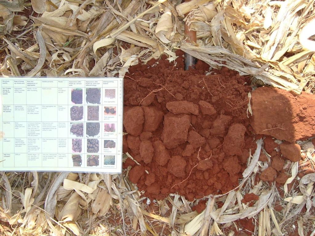 Efeito do cultivo nas condições físicas do solo Aspecto físico da estrutura do Latossolo Vermelho sob cultivo