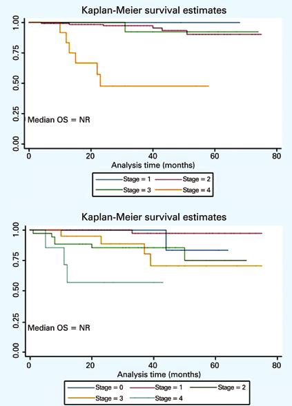 Distribution by age group and cancer type in 234 elderly patient deaths in a cancer center in São Paulo, Brazil n (%) Deaths Yes 234 (29.1) No 572 (70.